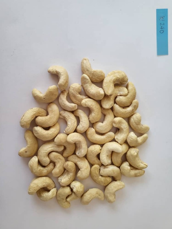 CASHEW NUTS GRADE W240 from Tanzania